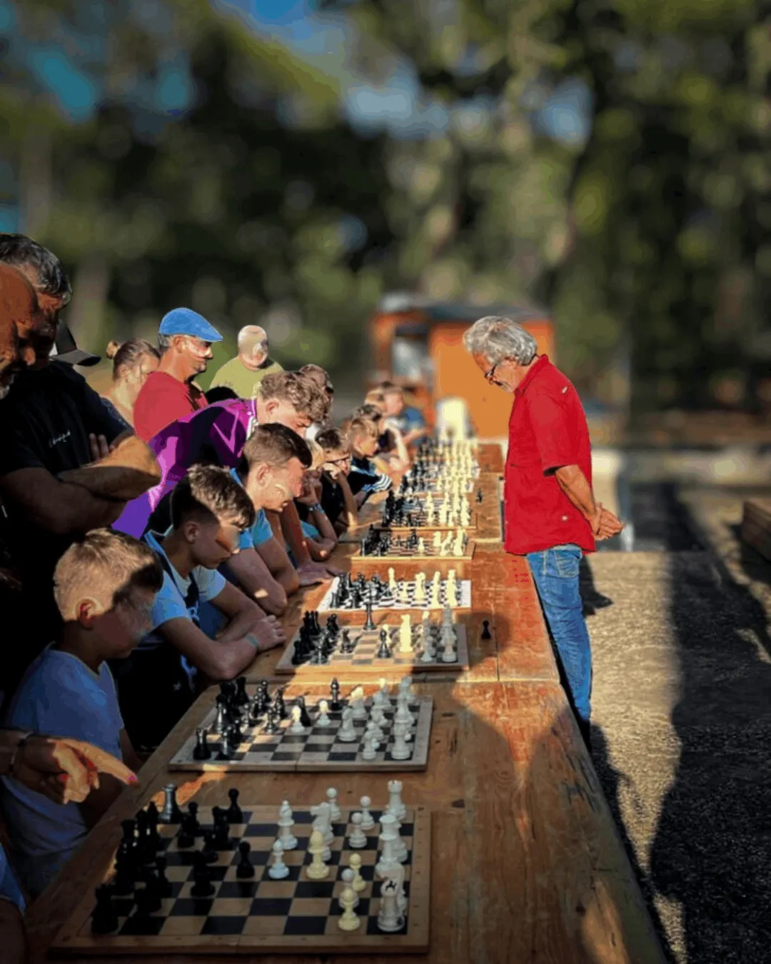 Stage et cours d'échecs en ligne